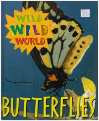 Image of Butterflies