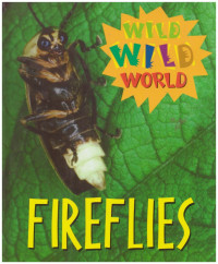 Image of Fireflies