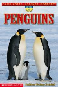 Image of Penguins
