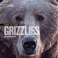 Image of Face To Face With Grizzlies