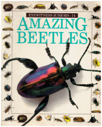 Image of Amazing Beetles