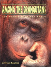 Image of Among the Orangutans