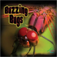 Image of Buzzing Bugs