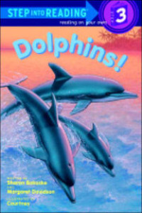 Image of Dolphins!