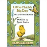 Image of Little Chicks Big Day