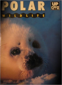 Image of Polar Wildlife